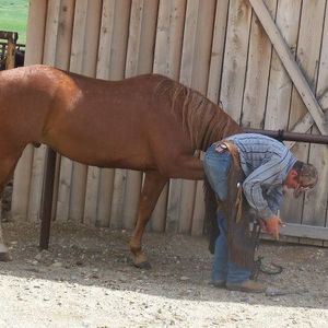 Meet your Posher, Dalton